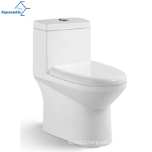 Aquacubic Modern Floor Mounted Two Piece Dual Flush Ceramic Toilet